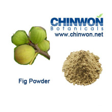 Dietary Supplements Dried Fruits Fig Powder